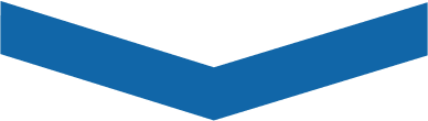 insurance services